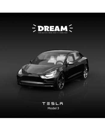 (預訂 Pre-order) Dream 1:64 Tesla Model3 (Diecast Model) - Black