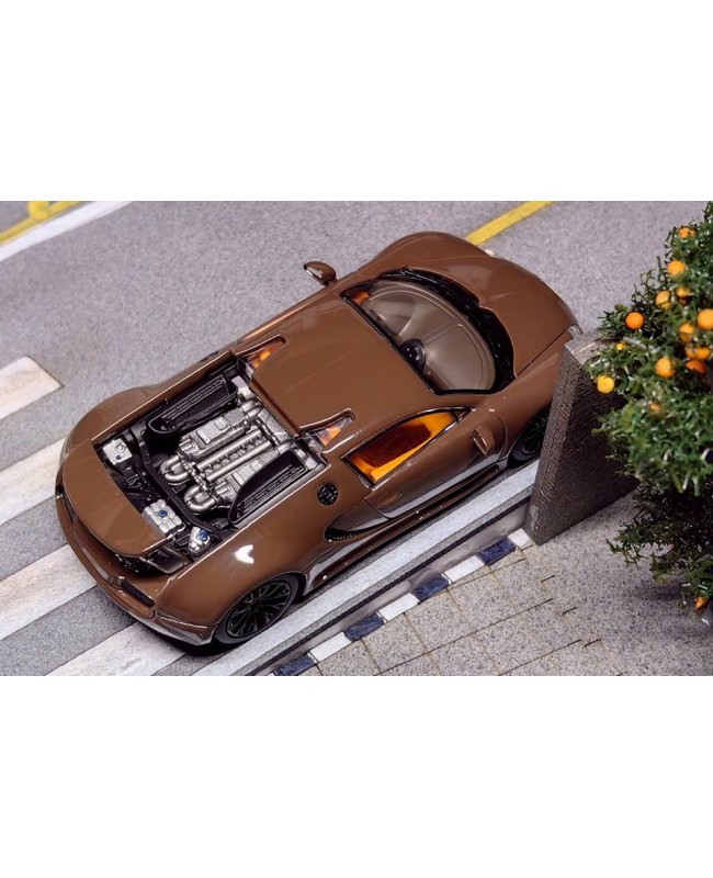 (預訂 Pre-order) Mortal 1:64 Bugatti Veyron Super Sport 巧克力配色 (後蓋可拆卸 尾翼可升降) (Diecast car model) 限量799台
